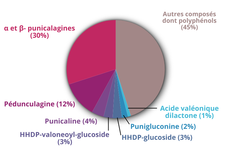 Diagramme composition analyses bacopa monnieri